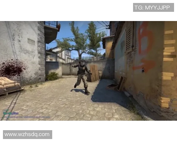 CSGO战术解析：深入探讨LNG战队的防守与反击策略